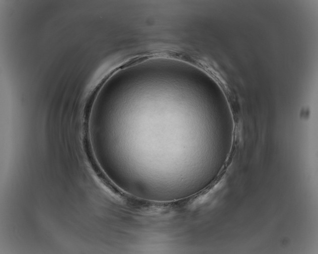 X0000090620101200707311252