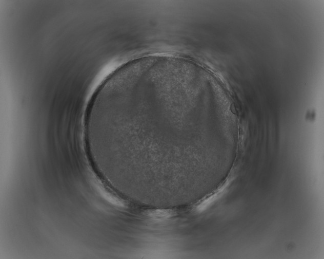 X0000090620102200707311252