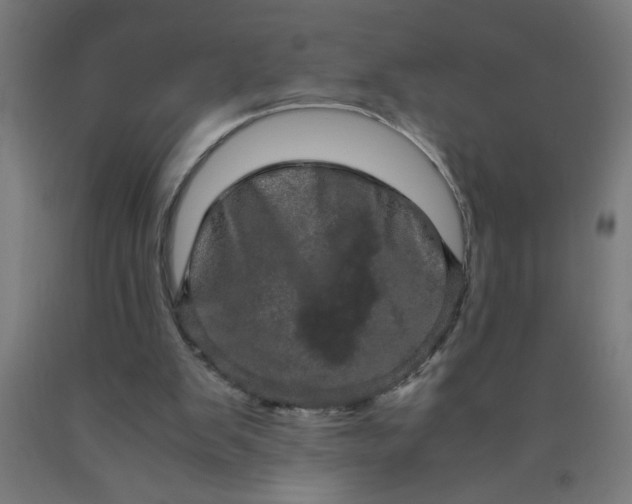 X0000090620103200707311252