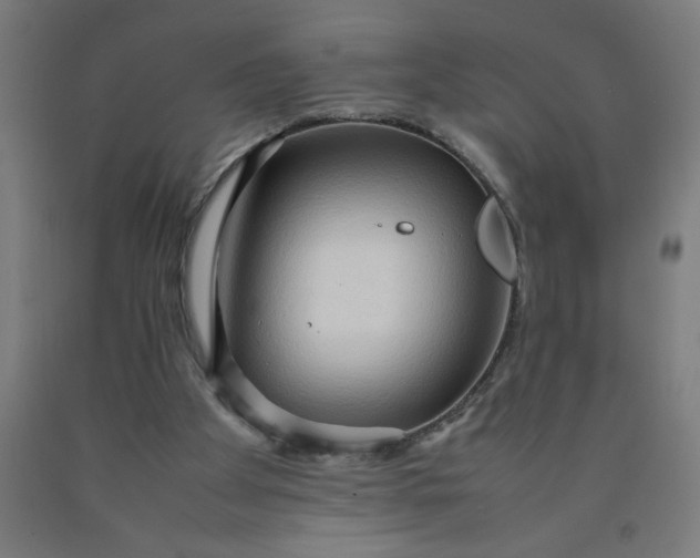 X0000090620105200707311252