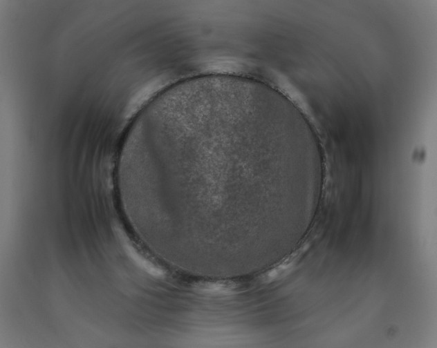 X0000090620106200707311252