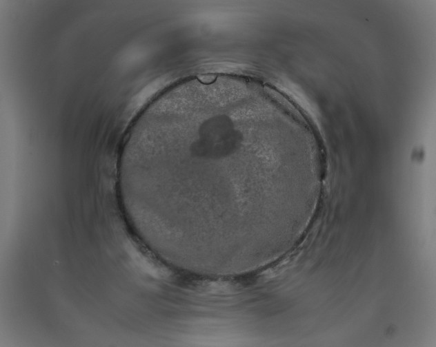 X0000090620107200707311252