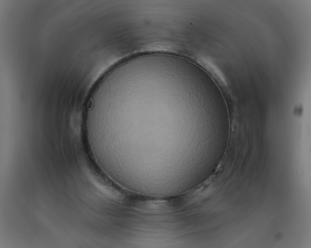 X0000090620108200707311252