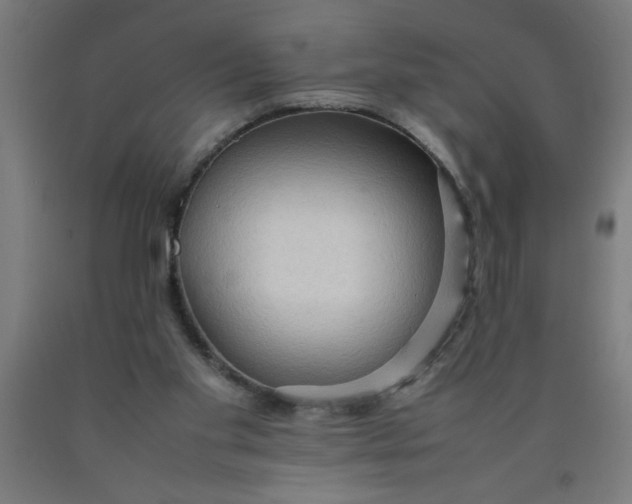 X0000090620109200707311252