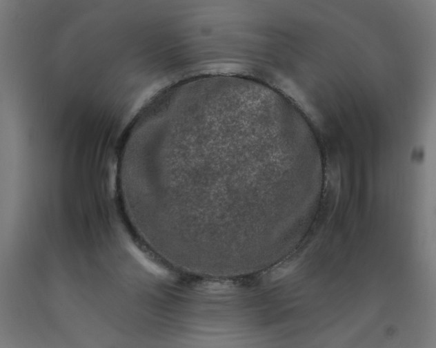 X0000090620110200707311252