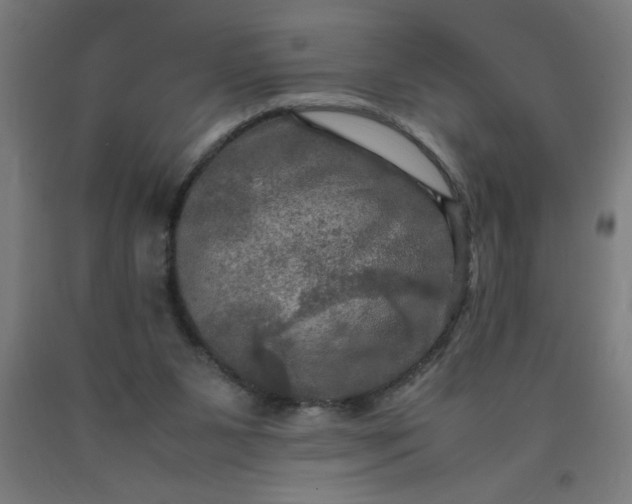 X0000090620111200707311252