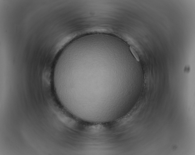 X0000090620112200707311252