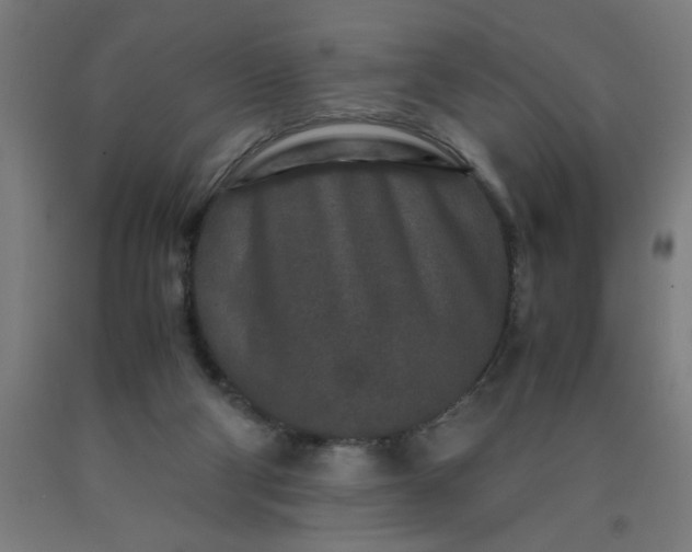 X0000090620114200707311252