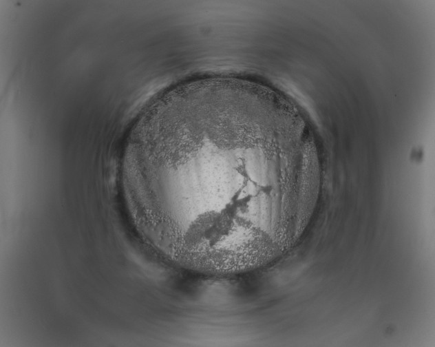 X0000090620115200707311252