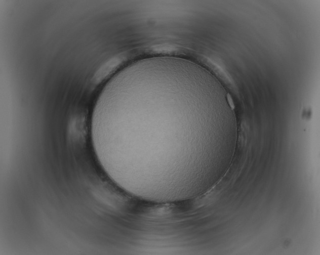 X0000090620116200707311252