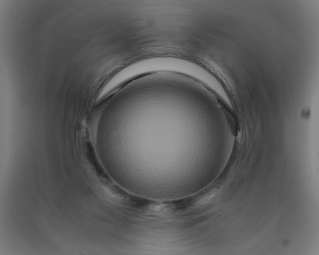 X0000090620117200707311252