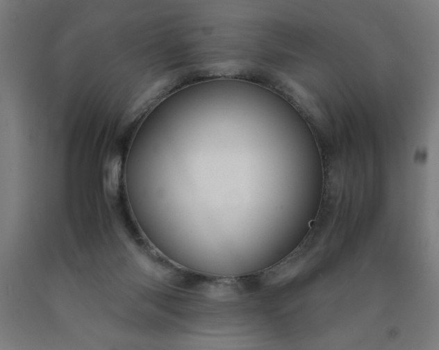 X0000090620118200707311252