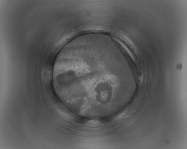 X0000090620119200707311252