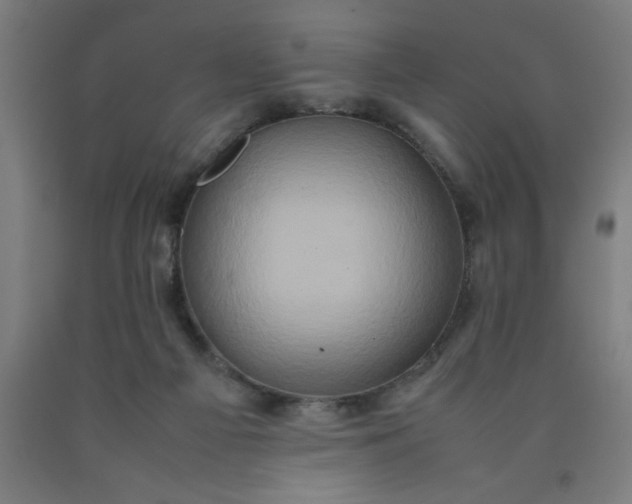 X0000090620121200707311252