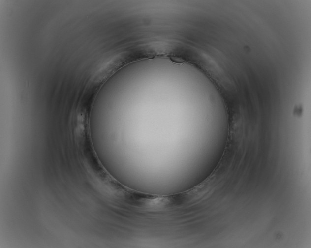 X0000090620122200707311252