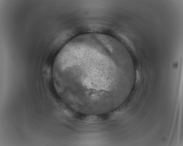 X0000090620123200707311252