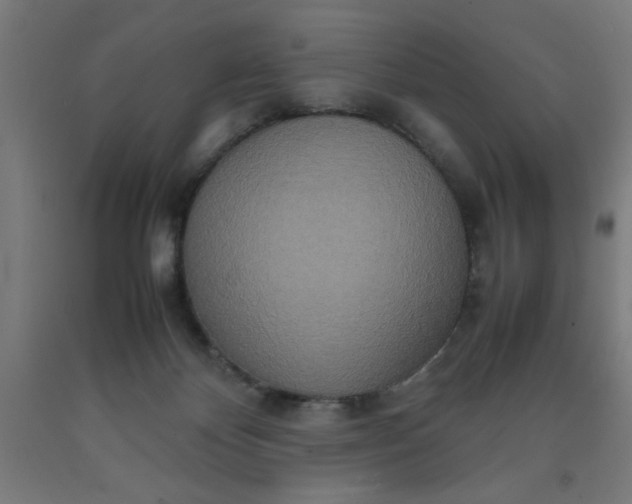 X0000090620124200707311252