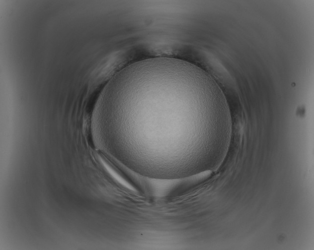 X0000090620125200707311252