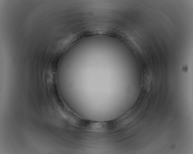 X0000090620126200707311252