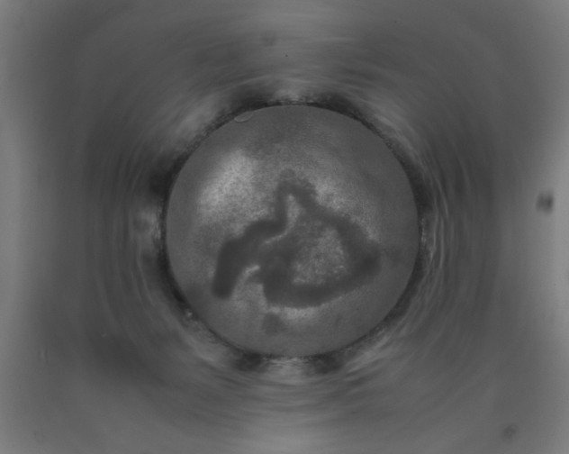 X0000090620127200707311252