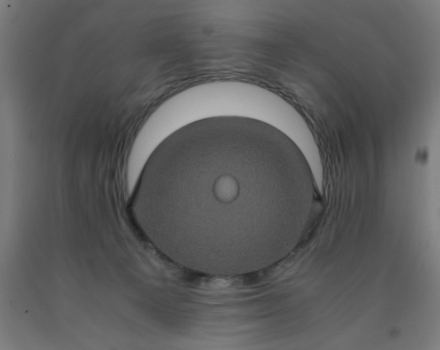 X0000090620129200707311252