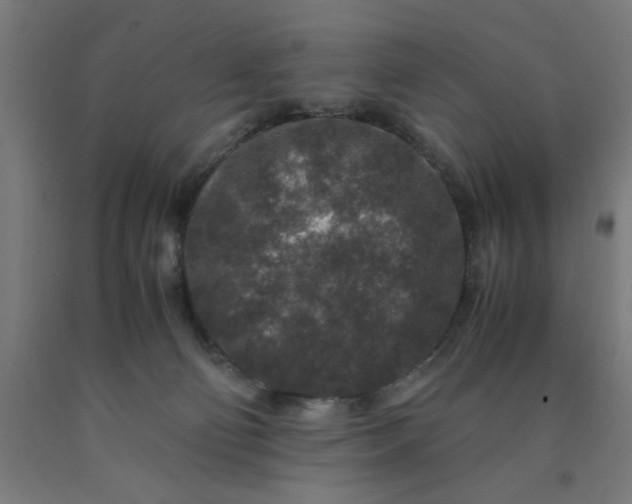 X0000090620130200707311252