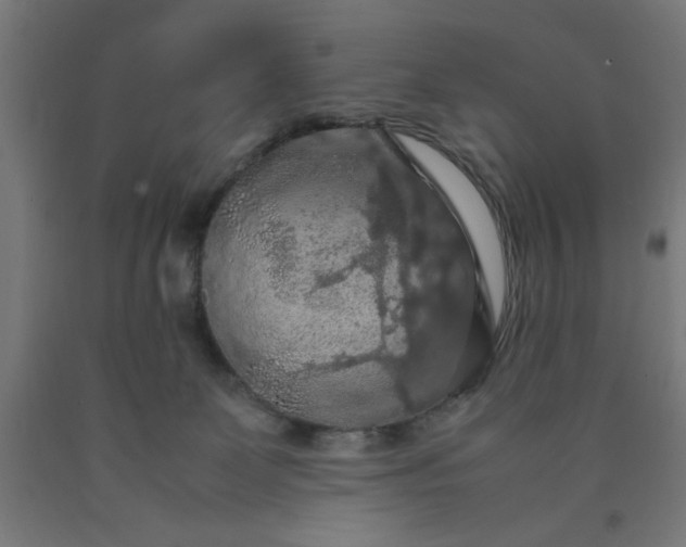 X0000090620131200707311252