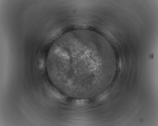 X0000090620134200707311252