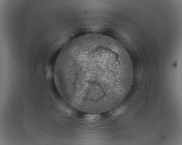 X0000090620135200707311252