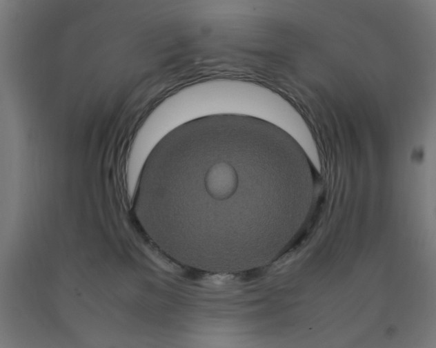 X0000090620137200707311252