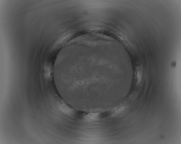 X0000090620138200707311252