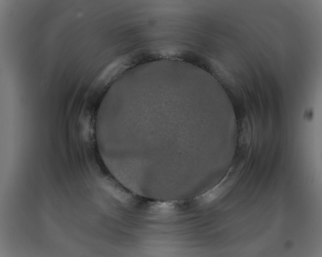 X0000090620140200707311252