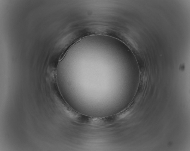 X0000090620141200707311252