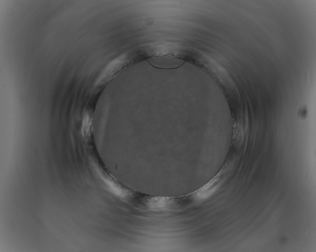 X0000090620142200707311252