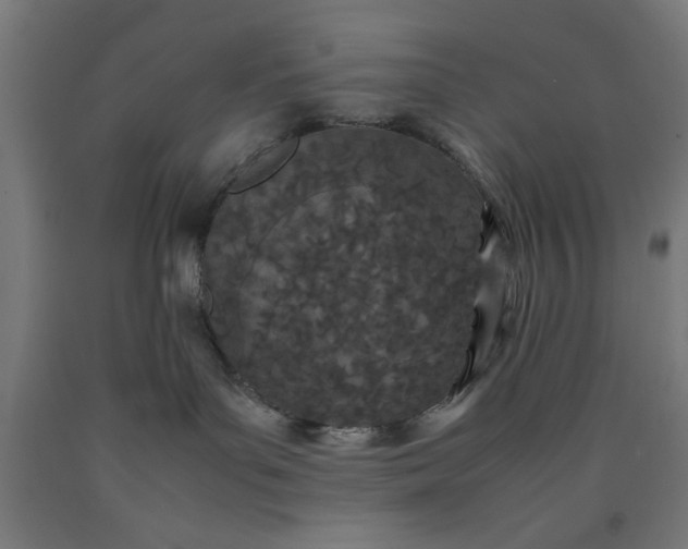 X0000090620143200707311252