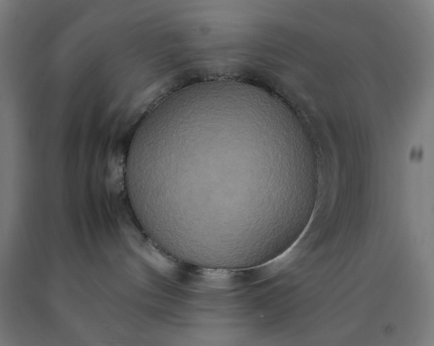 X0000090620144200707311252