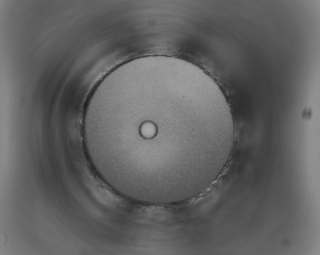 X0000090620146200707311251