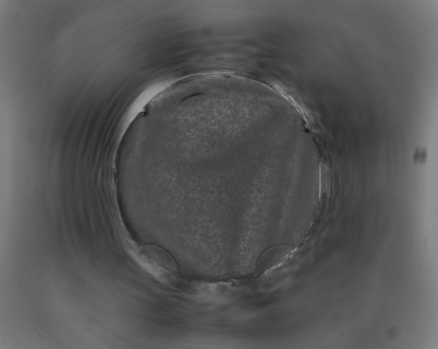 X0000090620147200707311251