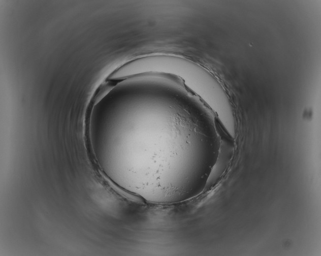 X0000090620148200707311251