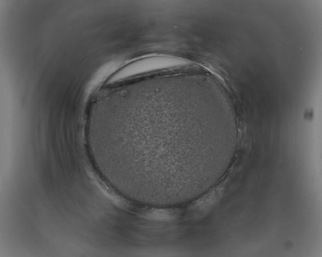 X0000090620149200707311251