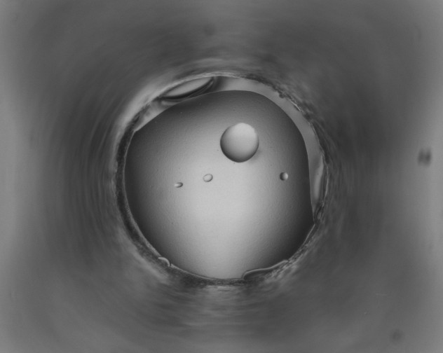 X0000090620150200707311251