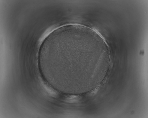 X0000090620151200707311251