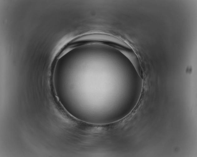 X0000090620152200707311251