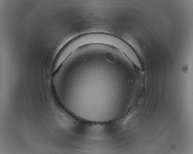 X0000090620156200707311251