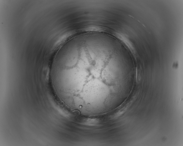 X0000090620157200707311251