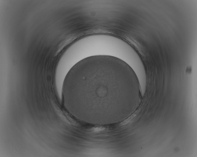 X0000090620158200707311251