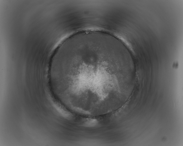 X0000090620159200707311251