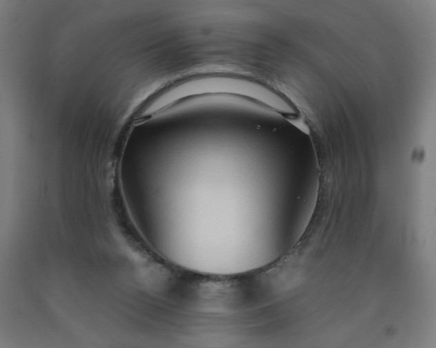 X0000090620160200707311251