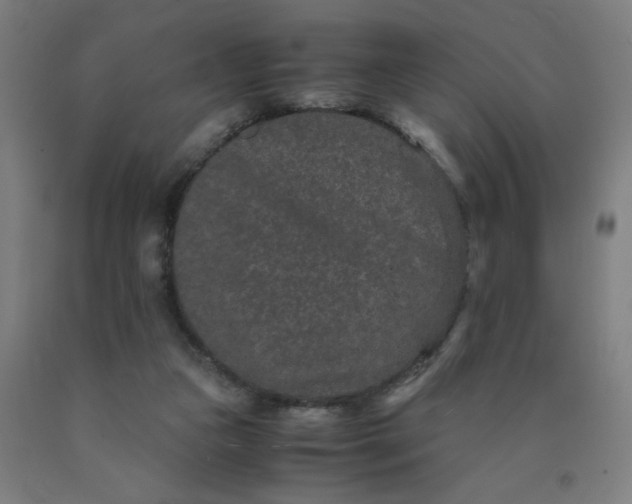 X0000090620161200707311251