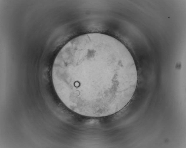 X0000090620162200707311251